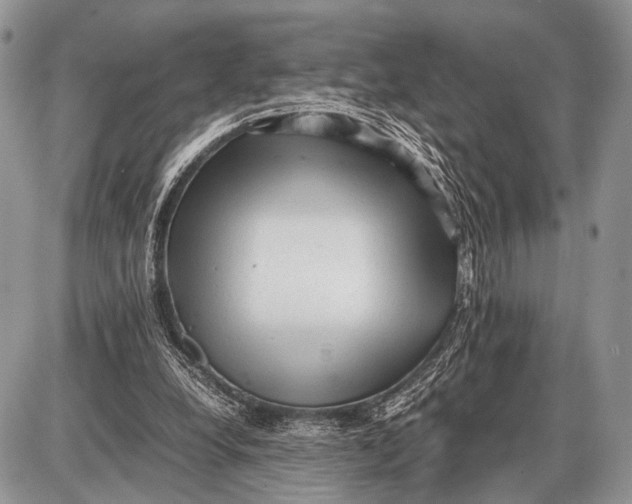 X0000087400248200705111833