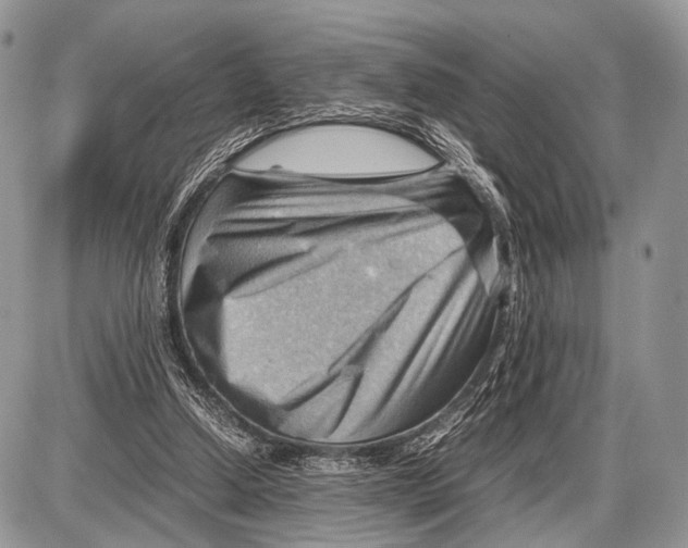 X0000087400250200705111833