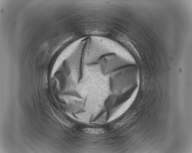 X0000087400251200705111833