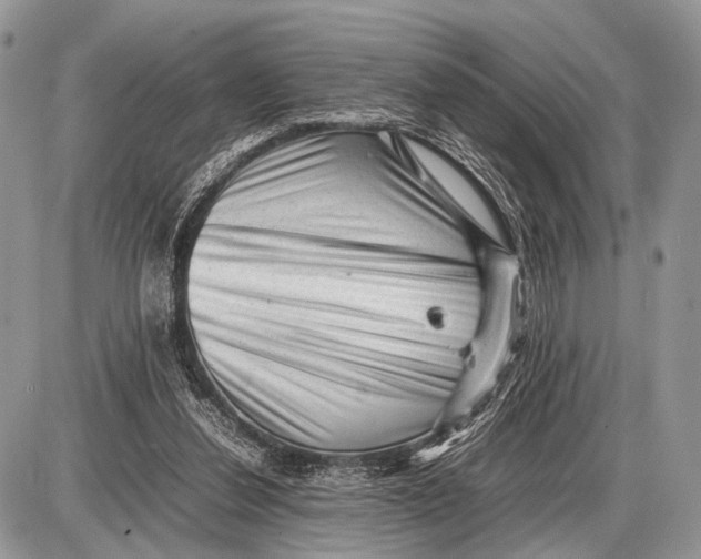 X0000087400252200705111833