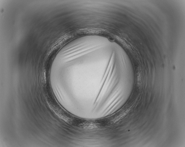 X0000087400254200705111833