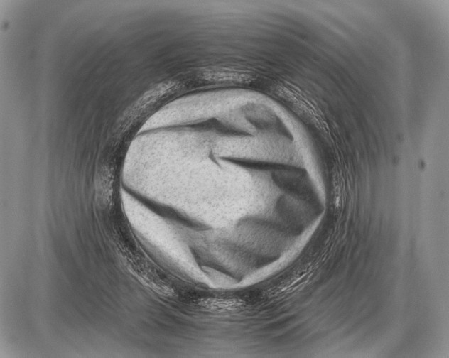 X0000087400255200705111833