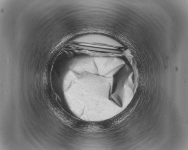 X0000087400256200705111833