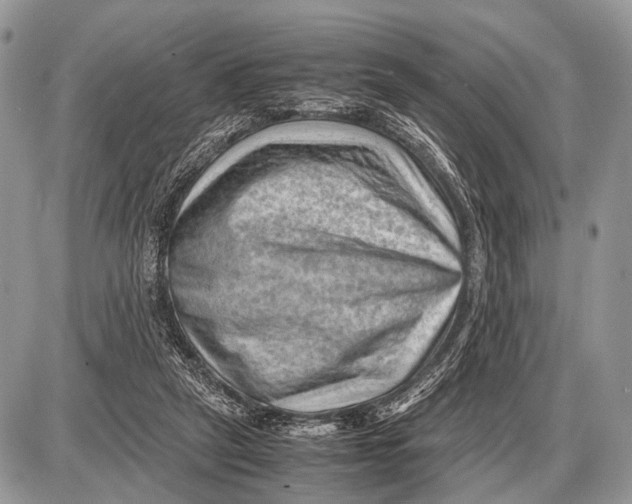 X0000087400257200705111833