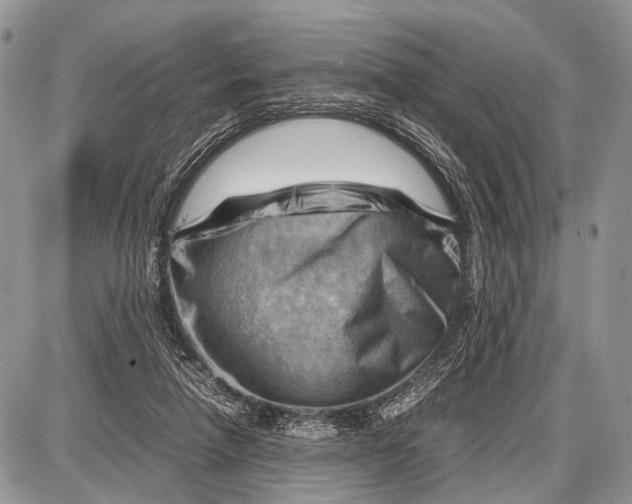 X0000087400258200705111833