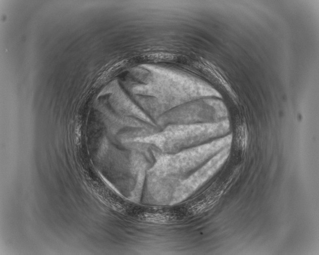 X0000087400259200705111833