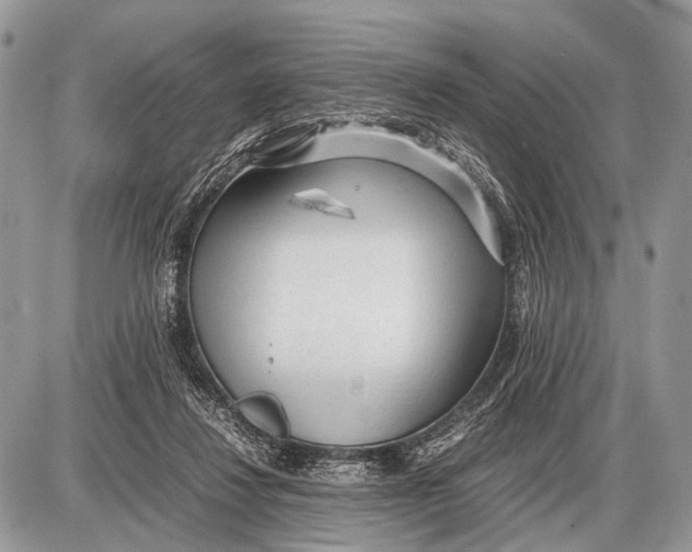 X0000087400260200705111833