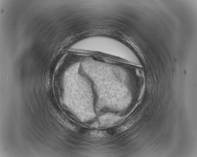 X0000087400261200705111833