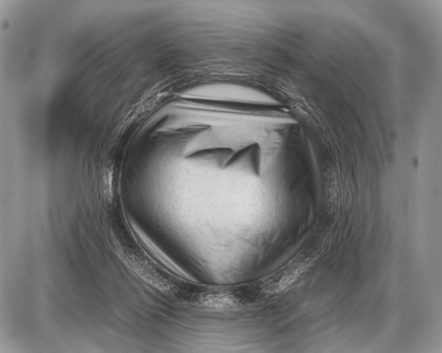 X0000087400262200705111833