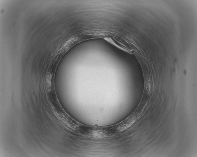 X0000087400264200705111833