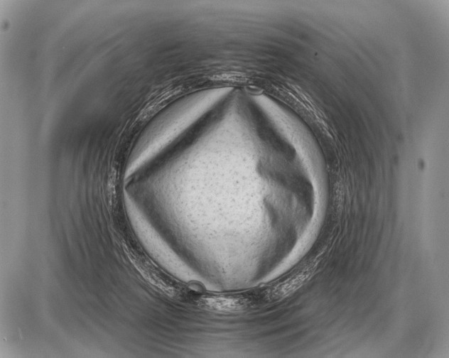 X0000087400265200705111833