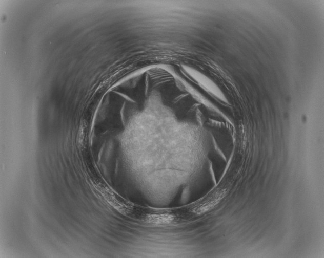 X0000087400266200705111833