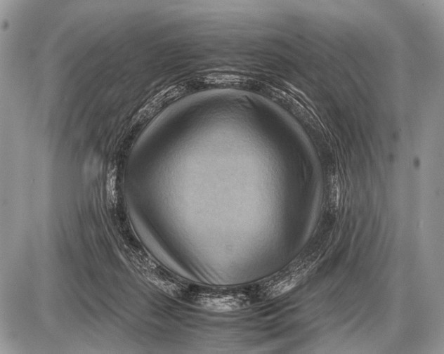 X0000087400267200705111833