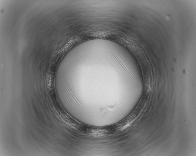 X0000087400268200705111833