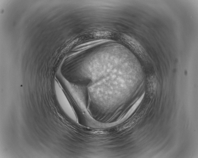 X0000087400269200705111833