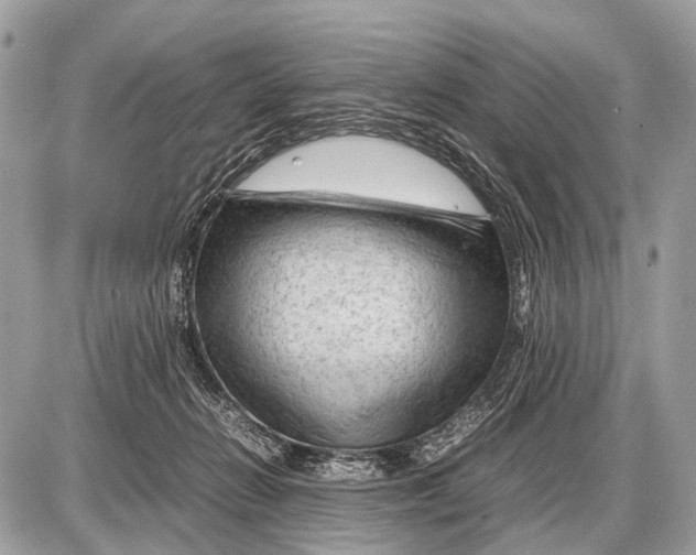 X0000087400270200705111833