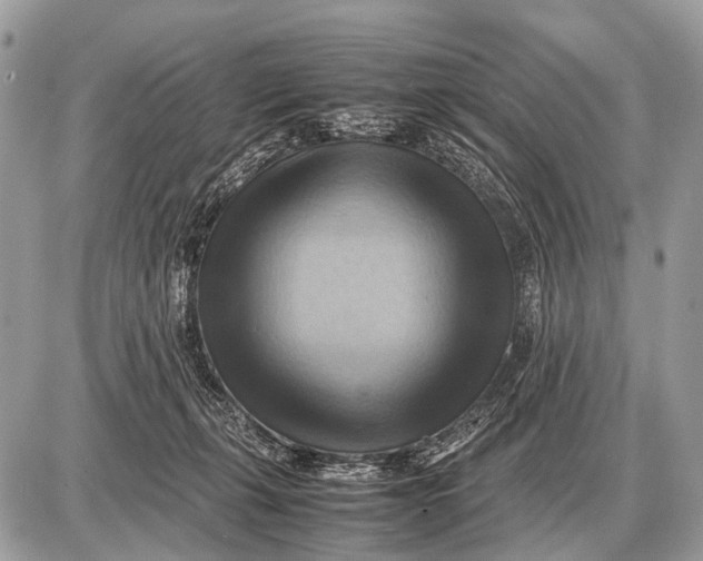 X0000087400271200705111833