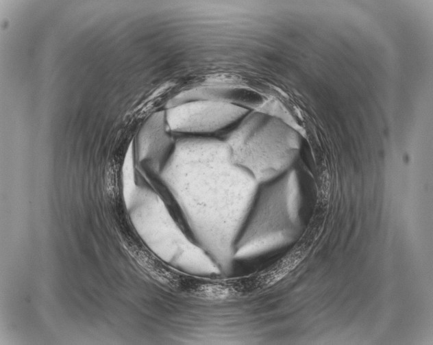 X0000087400272200705111833