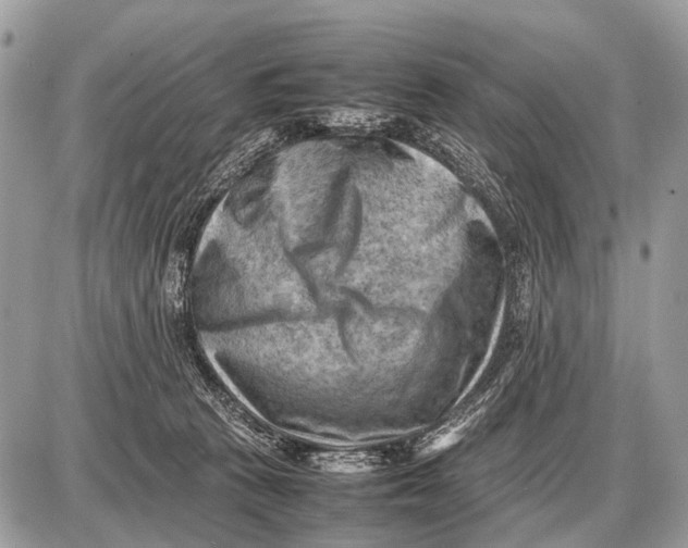 X0000087400273200705111833