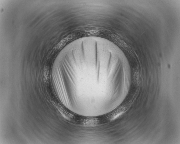 X0000087400274200705111833