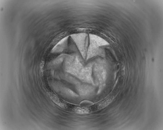 X0000087400275200705111833