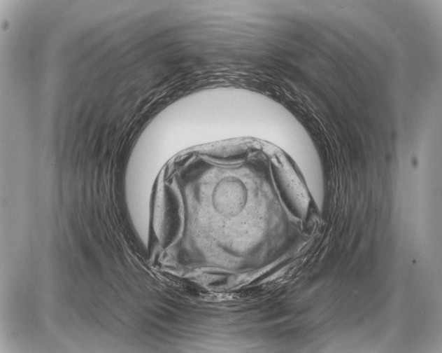 X0000087400276200705111833