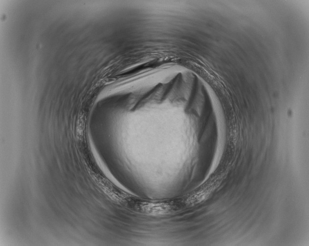 X0000087400277200705111833