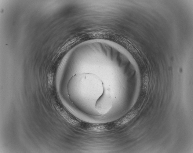 X0000087400278200705111833