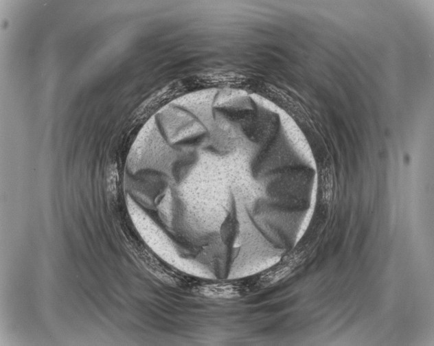 X0000087400279200705111833