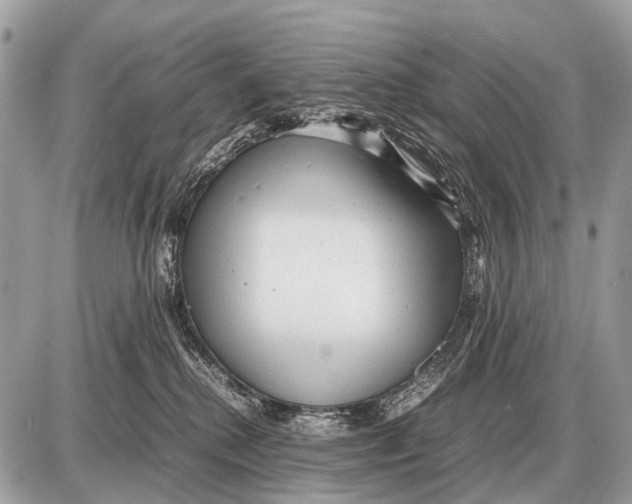 X0000087400280200705111833