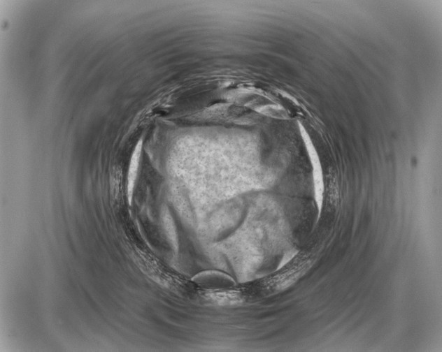 X0000087400283200705111833