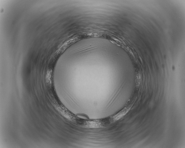 X0000087400286200705111833