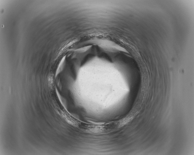 X0000087400288200705111833