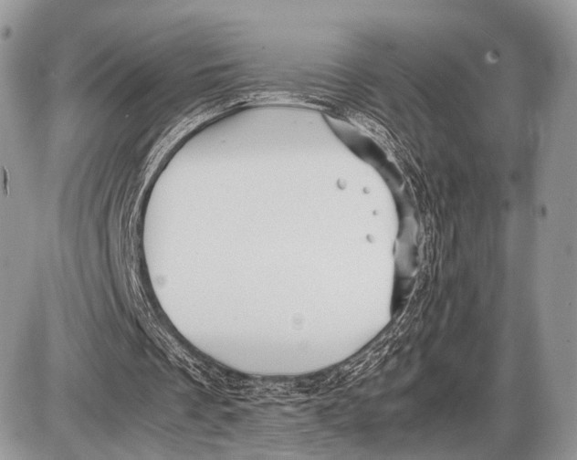 X0000087400289200705111833