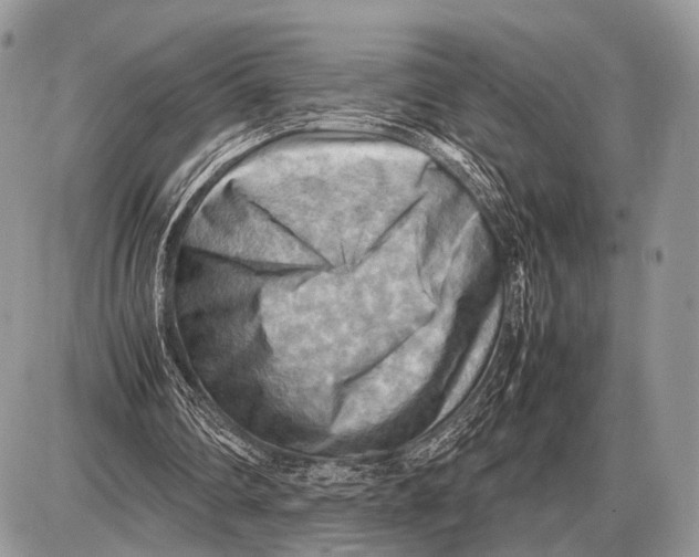 X0000087400290200705111833