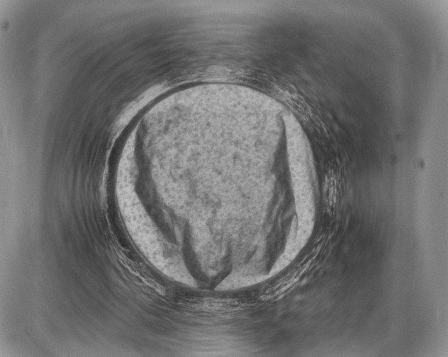 X0000087400292200705111832