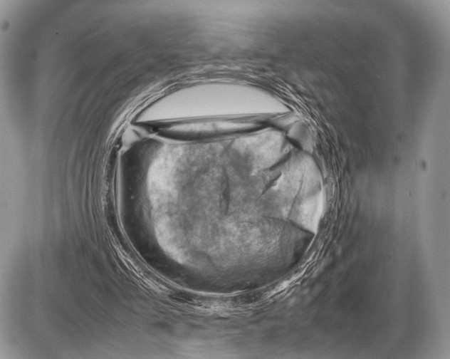 X0000087400293200705111832