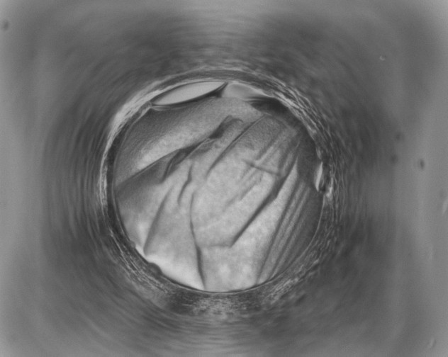 X0000087400294200705111832