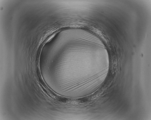 X0000087400299200705111832