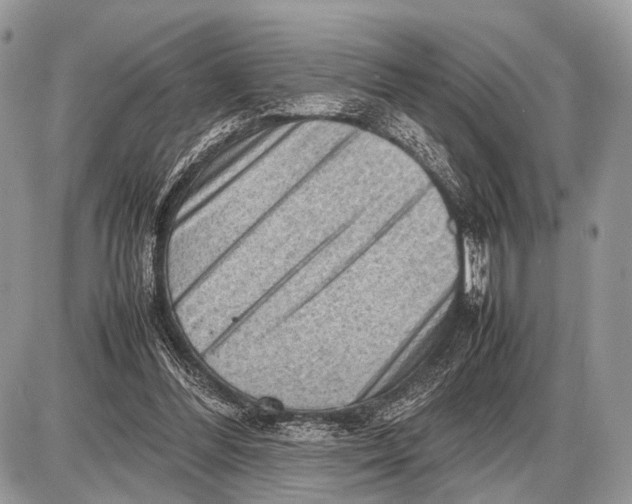 X0000087400300200705111832