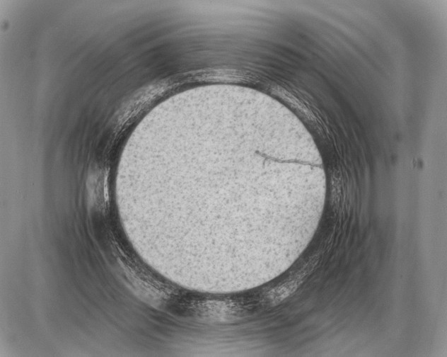 X0000087400302200705111832