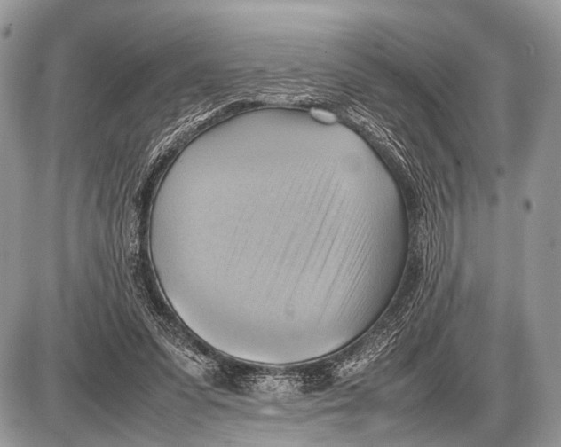 X0000087400303200705111832