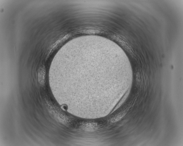 X0000087400304200705111832