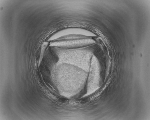 X0000087400305200705111832