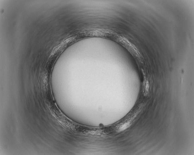 X0000087400306200705111832