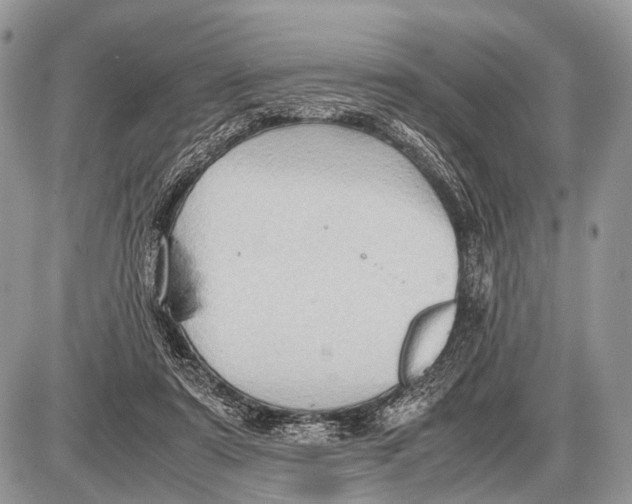 X0000087400307200705111832