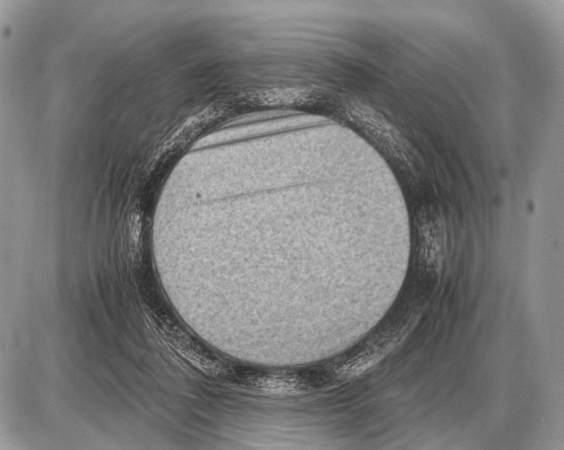 X0000087400308200705111832