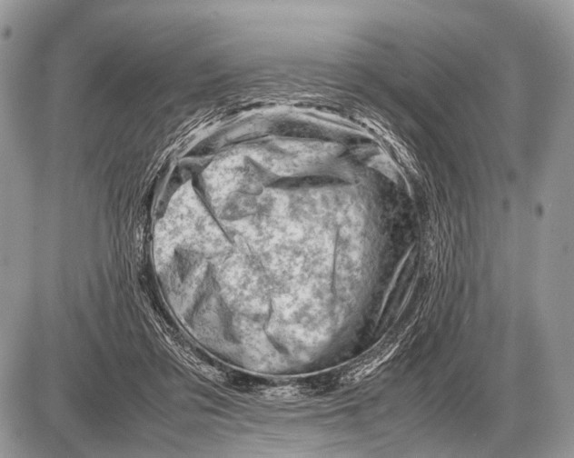 X0000087400309200705111832