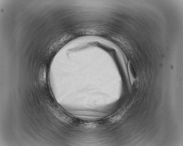 X0000087400310200705111832