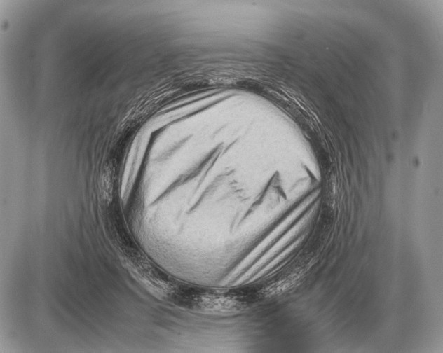 X0000087400311200705111832